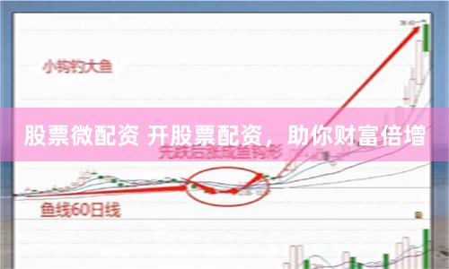 股票微配资 开股票配资，助你财富倍增